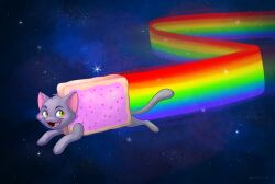  chelsea_brown domestic_cat felid feline felis green_eyes mammal meme nyan_cat pink_nose rainbow solo space 