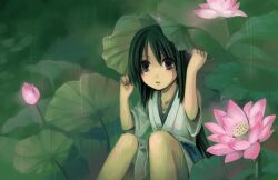  bad_deviantart_id bad_id black_eyes black_hair bud female flower green_theme holding holding_leaf japanese_clothes leaf leaf_umbrella long_hair lotus lotus_leaf lotus_pod mou-s nature original pink_flower rain short_sleeves sitting solo water_drop 