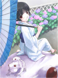  bad_id bad_pixiv_id copyright_request female flower frog hydrangea japanese_clothes kimono oil-paper_umbrella shimano_natsume solo umbrella 