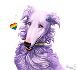  2022 absurd_res accessory ambiguous_gender artist_name black_nose blush borzoi brown_eyes bust_portrait canid canine canis collar domestic_dog fangs feral fur heart_symbol hi_res hunting_dog icon kleowolfy lgbt_pride lgbt_pride_month mammal multicolored_collar open_mouth portrait pride_color_accessory pride_color_collar pride_colors pride_heart purple_body purple_fur rainbow_pride_collar rainbow_pride_colors realistic sighthound simple_background six-stripe_rainbow_pride_colors snout solo teeth white_background 