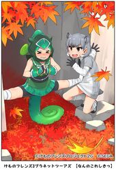  &gt;_&lt; 2girls animal_ears autumn_leaves bandaged_leg bandages bike_shorts black_eyes black_hair blush border bracer chameleon_girl chameleon_tail clenched_teeth closed_eyes collared_shirt company_name copyright_notice curly_hair day detached_hood dress extra_ears fingerless_gloves forehead_protector full_body gloves green_hair grey_hair hair_through_headwear happa_(cloverppd) high_ponytail hood hood_up kemono_friends layered_sleeves lizard_tail long_hair long_sleeves looking_at_another multicolored_hair multiple_girls neck_ribbon nose_blush official_art outdoors own_hands_together panther_chameleon_(kemono_friends) ribbon rock_hyrax_(kemono_friends) shirt shoes short-sleeved_sweater short_hair short_over_long_sleeves short_sleeves shorts shorts_under_skirt skirt sleeveless sleeveless_shirt smile socks spread_legs squatting struggling sweater sweater_dress tail teeth undershirt v-shaped_eyebrows white_hair wide_spread_legs wing_collar 