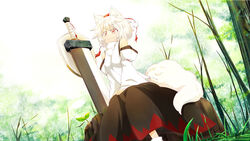  animal_ears commentary_request detached_sleeves female hat inubashiri_momiji kokutei_n nature photoshop_(medium) red_eyes shield skirt solo sword tail tokin_hat touhou weapon white_hair wolf_ears wolf_tail 