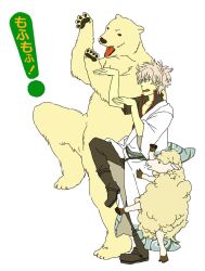  1boy bad_id bad_pixiv_id bear gintama grey_hair hadanugi_dousa jaguchi_(bbbing) japanese_clothes kimono long_sleeves open_clothes open_kimono parody polar_bear sakata_gintoki sheep short_hair short_sleeves white_hair yotsubato! yotsubato!_pose 