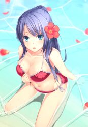  amanuki-san beach bikini blue_eyes breasts cleavage commentary_request day female flower from_above hair_flower hair_ornament hand_on_own_chest hibiscus large_breasts long_hair looking_at_viewer looking_up navel original partially_submerged petals petals_on_liquid ponytail purple_hair red_bikini rose_petals side-tie_bikini_bottom sitting solo swimsuit wariza water 