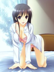  all_fours bare_legs barefoot black_hair bra breasts brown_eyes commentary_request dress_shirt female highres large_breasts long_hair looking_at_viewer open_clothes open_shirt original panties photoshop_(medium) pink_bra pink_panties shirt smile solo takepon underwear 