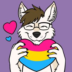  1:1 anthro asuune canid canine canis eyewear fluffy glasses heart_pillow heart_symbol lgbt_pride male mammal multicolored_pillow pansexual pansexual_pride_colors pillow pride_color_pillow pride_colors pride_heart sabbyth scruffy solo wolf 