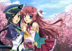  kanu koihime_musou ooshima_miwa ryuubi tagme 