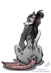  american_opossum anthro female hair hi_res long_hair long_tail looking_at_viewer looking_back mammal markings marsupial nitani_(fursona) rear_view red_eyes simple_background sitting solo spots spotted_body stirren tail virginia_opossum 