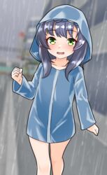  black_hair blue_raincoat blurry blurry_background commentary_request day female furaggu_(frag_0416) green_eyes highres hood hood_up kantai_collection long_hair long_sleeves matsuwa_(kancolle) outdoors rain raincoat road sidelocks solo standing street 