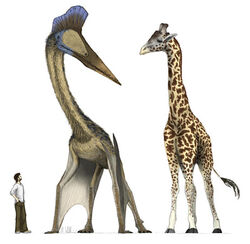  ambiguous_gender azhdarchid beak extinct extreme_size_difference feral giraffe giraffid group horn human long_neck low_res male mammal mark_witton membrane_(anatomy) membranous_wings ossicone prehistoric_species pterosaur quadruped quetzalcoatlus realistic_feral reptile scalie size_difference wings 