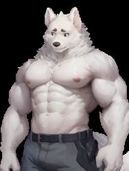  1boy abs animated animated bara bing_ya cowboy_shot fighting large_pectorals lowres male_focus muscular muscular_male navel navel_hair nervous nipples original pants pectorals short_hair shy solo standing stomach strongman_waist topless_male transparent_background wolf_boy 