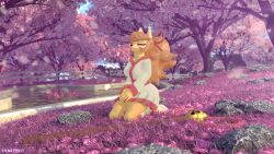  16:9 3d_(artwork) accessory anthro asian_clothing big_breasts blender_(artwork) blender_cycles breasts canid canine ceroba_ketsukane cherry_blossom cherry_blossom_tree cherry_tree clothed clothing digital_media_(artwork) east_asian_clothing female flower fox fruit_tree fur hair hi_res japanese_clothing kimono long_hair mammal orange_hair outside petals plant ponytail prunus_(flower) sharperit simple_background smile solo tail tree undertale undertale_(series) undertale_yellow white_body white_fur widescreen 