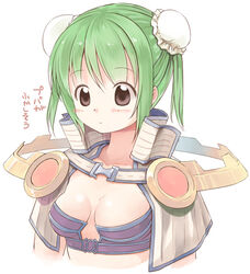  bikini blush breasts breasts_apart brown_capelet brown_eyes bun_cover capelet closed_mouth commentary_request double_bun emurin expressionless female green_hair hair_bun looking_down purple_bikini ragnarok_online sage_(ragnarok_online) short_hair simple_background small_breasts solo striped_capelet swimsuit translation_request upper_body white_background 