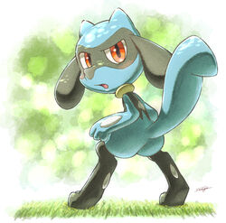  2021 3_fingers anthro ass black_legs blue_arms blue_body blue_butt blue_fingers blue_hands blue_tail blush digitigrade fingers full-length_portrait generation_4_pokemon grass irago nintendo nude pink_tongue plant pokemon pokemon_(species) portrait riolu signature solo standing tail tongue 