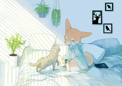  1boy absurdres animal_ears animal_feet animal_hands barefoot bible_(object) blue_shirt body_fur book bottomless closed_eyes commentary day drawing_(object) english_text feline full_body furry furry_male hand_up hanging_plant highres leg_up light long_sleeves male_focus mayumochini on_bed orange_fur original pajamas pawpads pillow plant potted_plant rubbing_eyes scenery shirt sitting solo striped_clothes striped_shirt tail two-tone_fur white_fur 