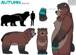  absurd_res annabelle_autumn_pines bear brown_bear english_text feral hi_res impliedrainbows kodiak_bear mammal model_sheet quadruped text ursine 