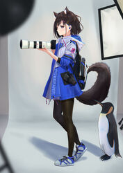  animal_ears backpack bag bird black_footwear black_hair black_jacket blue_skirt blurry blurry_foreground camera female full_body hair_ornament hairclip highres hood hood_down hooded_jacket jacket ko_tachi1104 original pantyhose penguin photo_shoot photographer purple_eyes shoes short_hair skirt sneakers standing tail triangle_hair_ornament zipper_pull_tab zoom_lens 