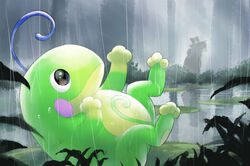  black_eyes bush closed_mouth commentary_request evolutionary_line forest lily_pad lying nature no_humans on_back outdoors pokemon pokemon_(creature) politoed purobe rain smile teddiursa toes tree ursaring water 