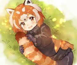  animal_ears bad_id bad_twitter_id black_bow black_bowtie black_fur black_pantyhose black_shorts black_sweater blush bow bowtie brown_eyes commentary_request female fur_collar grass highres holding_own_tail kemono_friends kemono_friends_2 long_sleeves lying multicolored_hair on_side orange_hair panda_ears panda_girl panda_tail pantyhose red_panda_(ex)_(kemono_friends) red_panda_(kemono_friends) short_hair short_shorts shorts solo suicchonsuisui sweater tail white_hair 