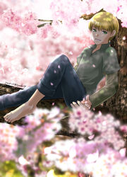  1boy artist_name barefoot blonde_hair blurry blurry_foreground cherry_blossoms feet green_eyes high_collar honzuki_no_gekokujou in_tree long_sleeves looking_at_viewer lutz_(honzuki_no_gekokujou) male_focus open_collar outdoors pants parted_lips petals shirt sitting smile tree yuuko24 