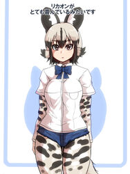  3:4 african_wild_dog_(kemono_friends) african_wild_dog_humanoid animal_humanoid black_hair black_spots bottomwear bow_(feature) bow_tie canid canid_humanoid canine canine_humanoid clothed clothing denim denim_clothing female grey_eyes grey_hair hair hi_res humanoid inner_ear_fluff isna japanese_text kemono_friends mammal mammal_humanoid multicolored_hair pattern_clothing pattern_topwear shirt short_hair shorts solo spots spotted_clothing spotted_topwear text topwear translated tuft white_spots 