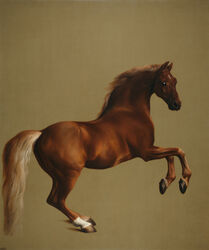  1762 18th_century absurd_res ambiguous_gender ancient_art brown_body brown_fur equid equine feral full-length_portrait fur george_stubbs hi_res hooves horse looking_at_viewer male_(lore) mammal mane oil_painting_(artwork) painting_(artwork) portrait public_domain quadruped real_world simple_background solo tail tan_background tan_body tan_fur thoroughbred traditional_media_(artwork) whistlejacket 