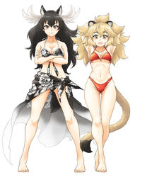  2girls animal_ears arms_behind_head arms_up ass_visible_through_thighs barefoot big_hair bikini black_hair blonde_hair blush breasts brown_eyes cleavage closed_mouth crossed_arms extra_ears floral_print full_body grey_hair groin halterneck kemono_friends legs_apart lion_(kemono_friends) lion_ears lion_girl lion_tail long_hair looking_at_viewer medium_breasts moose_(kemono_friends) moose_antlers moose_ears moose_girl moose_tail multicolored_hair multiple_girls naka_(nicovideo14185763) navel open_mouth print_bikini red_bikini sarong side-by-side simple_background smile standing stomach swimsuit tail toes two-tone_hair very_long_hair white_background yellow_eyes 