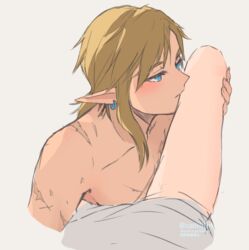  1boy artist_name blonde_hair blue_eyes dress earrings female grey_dress highres jewelry kissing_leg link medium_hair nude pointy_ears princess_zelda scar scar_on_arm scar_on_chest seri_(yuukasakura) solo_focus straight the_legend_of_zelda the_legend_of_zelda:_tears_of_the_kingdom 