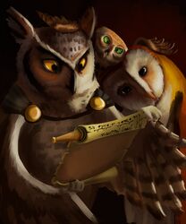  amber_eyes ambiguous_gender avian barn_owl beak bird brown_body cloak clothing fantasy feathered_wings feathers feral green_eyes group hi_res horned_owl jakeseeker owl scroll simple_background text true_owl tyto tytonid white_body white_feathers wings 