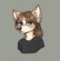  2023 anthro black_clothing black_nose black_shirt black_t-shirt black_topwear bodily_fluids brown_hair canid canine canis clothing cotton_(yshanii) digital_media_(artwork) dingo female fur hair looking_at_viewer mammal shirt simple_background solo t-shirt tan_body tan_fur tears topwear white_body white_fur yshanii 