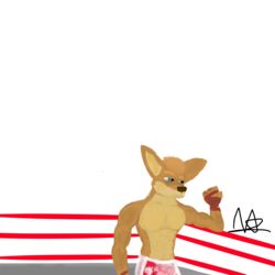  1:1 absurd_res anthro clothing fighting_ring handwear hi_res kangaroo macropod male mammal marsupial muscular simple_background solo stupidroo tailless vein veiny_muscles white_background 