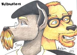 2004 adam_savage alternate_species anthro black_clothing black_hat black_headwear black_nose blonde_hair blue_eyes cactusiguana canid canine canis character_name clothing colored_pencil_(artwork) domestic_dog duo english_text eyebrows eyewear facial_hair flat_cap fur furrification glasses grey_body grey_fur hair hat headgear headwear jamie_hyneman male mammal mythbusters open_mouth open_smile real_world shirt simple_background smile teeth text topwear traditional_media_(artwork) white_background white_clothing white_shirt white_topwear yellow_body yellow_fur