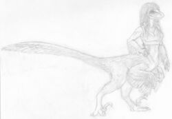  biped biped_taur bottomless bottomless_female bottomless_taur breasts chukchi_husky clothed clothing digitigrade dinosaur dinosaur_taur dromaeosaurid dromaeosaurid_taur extinct feathers female full-length_portrait graphite_(artwork) greyscale hand_on_hip hi_res medium_breasts monochrome pencil_(artwork) portrait prehistoric_species pseudo_hair reptile reptile_taur scalie scalie_taur simple_background solo standing taur theropod theropod_taur topwear topwear_only traditional_media_(artwork) velociraptor velociraptor_taur white_background 