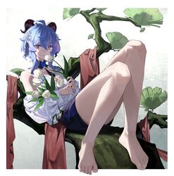  absurdres ahoge baiyinzhideng bare_legs barefoot black_shorts blue_hair border breasts butterfly_choker camisole casual commentary_request detached_collar feet female flower full_body ganyu_(genshin_impact) genshin_impact goat_horns hair_between_eyes hair_flower hair_ornament highres holding holding_flower horns knees_up leaf legs light_smile looking_at_viewer loose_clothes loose_shirt medium_breasts medium_hair off_shoulder purple_eyes reclining red_scarf scarf shirt shorts sidelocks sitting_on_branch solo tassel_choker toenails toes tulip white_border white_camisole white_flower white_shirt white_tulip 