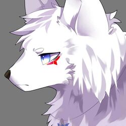  1:1 2017 2018 ambiguous_gender blue_eyes canid canine cheek_markings cheek_tuft cloudyiki digital_media_(artwork) facial_markings facial_tuft feral fur grey_background head_markings headshot_portrait jewelry kemono mammal markings necklace portrait red_markings shaded side_view simple_background solo tuft white_body white_fur 