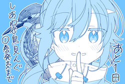  absurdres animal bird blue_background blue_theme blush colored_eyelashes common_kingfisher countdown dot_nose drawstring eyes_visible_through_hair female finger_to_mouth grin hair_between_eyes hand_up hatching_(texture) high_collar highres index_finger_raised kingfisher linear_hatching long_hair looking_at_viewer monochrome official_art outline parted_lips ponytail portrait shiawase_toriming shushing smile solo straight-on tokiniwa_tsubasa translation_request warabimochi_kinako white_outline 