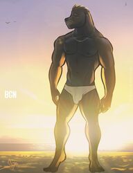  abs anthro beach bgn biceps biped blonde_hair brown_body brown_fur bulge california_sea_lion chains clothed clothing deltoids detailed_bulge digital_media_(artwork) ear_piercing ear_ring facial_hair feet full-length_portrait fur genital_outline gold_(metal) gold_chain hair light male mammal marine mendo_(bgn) multicolored_body muscular muscular_anthro muscular_male muscular_thighs navel nipples obliques outside pantsless pantsless_male pecs penis_outline piercing pinniped pinup portrait pose ring_piercing sand sea_lion seaside shirtless shirtless_male sky smile solo speedo standing sunlight sunrise swimwear swimwear_only toes triceps two_tone_body water wet wet_body 