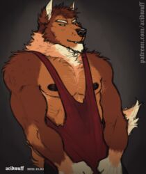  2022 absurd_res acidwuff anthro arm_tuft armpit_hair artist_name blue_eyes body_hair brown_body brown_fur brown_nipples canid canine canis cheek_tuft chest_hair clothed clothing dated facial_tuft front_view fur half-length_portrait hi_res looking_aside male mammal mouth_closed muscular muscular_anthro muscular_male neck_tuft nipples orange_body orange_fur portrait red_clothing red_topwear shirt shoulder_tuft simple_background solo standing tank_top text topwear tuft url wolf 