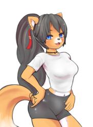  2018 :3 accessory anthro belly black_hair black_nose blue_eyes blush bottomwear breasts cheek_tuft clothing countershading damn_lasso_tool digital_media_(artwork) dipstick_tail eyelashes facial_tuft felid female fur hair hair_accessory hair_ribbon half-closed_eyes hand_on_hip high_waisted_bottomwear high_waisted_shorts inner_ear_fluff jewelry long_hair looking_at_viewer mammal markings midriff multicolored_body multicolored_fur multicolored_tail narrowed_eyes navel navel_piercing necklace open_mouth orange_body orange_fur piercing ponytail portrait pose pupils ribbons shirt shorts simple_background slit_pupils smile solo standing tail tail_markings three-quarter_portrait topwear tuft two_tone_body two_tone_fur white_background white_belly white_body white_fur 