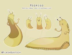  ambiguous_gender banana_slug black_eyes expression_sheet expressions flashquatsch gastropod legless model_sheet mollusk one_eye_closed rodrigo_(flashquatsch) scientific_name simple_background slug solo tentacle tentacle_eye wink yellow_body 