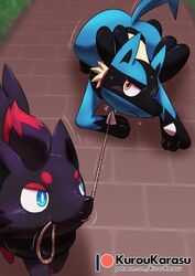  2018 amber_eyes ambiguous/ambiguous ambiguous_gender anthro anthro_on_feral black_body black_fur blue_body blue_eyes blue_fur blush bondage canid canine collar cross-popping_vein digital_media_(artwork) duo feral forced fur generation_4_pokemon generation_5_pokemon interspecies kurohane_karasu leash lucario mammal nintendo outside petplay pink_collar pokemon pokemon_(species) puppyplay red_body red_fur roleplay rope rope_leash size_difference small_dom_big_sub submissive submissive_ambiguous text url vein zoophilia zorua 