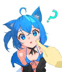  ? absurdres ahoge animal_ear_fluff animal_ears bare_shoulders bikini black_jacket blue_bikini blue_eyes blue_hair breasts breasts_apart bright_pupils cheek_poking disembodied_hand feet_out_of_frame female from_above halterneck highres jacket long_sleeves looking_at_viewer navel off_shoulder one_side_up open_clothes open_jacket original pjman poking short_hair simple_background small_breasts solo string_bikini sweatdrop swimsuit white_background white_pupils 