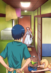  1boy 2girls :d aisaka_taiga animal apron aqua_shirt bird birdcage blonde_hair blue_hair brown_eyes cage door dress frilled_dress frills from_behind highres indoors inko long_hair long_sleeves looking_at_another lying mary_janes multiple_girls on_floor on_stomach open_mouth orange_hair parrot red_footwear sakaki_soshi shirt shoes smile standing standing_on_one_leg takasu_ryuuji takasu_yasuko toradora! white_dress white_legwear wooden_floor yellow_apron 