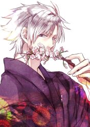  1boy alternate_costume bad_id bad_pixiv_id branch cherry_blossoms covering_own_mouth fate/zero fate_(series) flower grey_hair half-closed_eyes heterochromia holding holding_branch japanese_clothes kimono male_focus matou_kariya purple_eyes purple_kimono solo upper_body white_background white_eyes xrjingx 