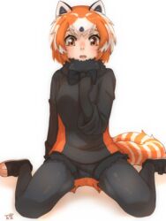  animal_ears black_fur black_gloves black_hair black_pantyhose black_shirt black_sweater blush commentary elbow_gloves female fur_collar gloves highres kemono_friends kemono_friends_2 long_sleeves multicolored_clothes multicolored_hair multicolored_shorts multicolored_sweater orange_eyes orange_hair orange_shorts orange_sweater panda_ears panda_girl panda_tail pantyhose red_panda_(ex)_(kemono_friends) red_panda_(kemono_friends) shirt shoes short_hair short_shorts shorts simple_background sitting smile sneakers solo sweater thin_(suzuneya) wariza white_background white_hair 