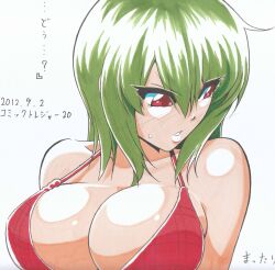  absurdres artist_name bad_id bad_pixiv_id bare_shoulders breasts cleavage embarrassed female green_hair highres kazami_yuuka large_breasts looking_away mattari_yufi red_eyes shikishi short_hair solo touhou traditional_media upper_body 