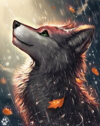  2023 4:5 ambiguous_gender canid canine canis day_time digital_media_(artwork) digital_painting_(artwork) ears_up feral flashw fur green_eyes leaf light looking_up mammal outside raindrops raining smile solo sunlight weather wet wet_body wet_fur 