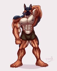  abs anothereidos_of_dragon_vein_r anthro barazoku barlitz canid canine canis claws clothing domestic_dog feet fur german_shepherd herding_dog low_res male mammal multicolored_body multicolored_fur muscular muscular_anthro muscular_male nipples pastoral_dog pecs pinumontbalou raised_arm solo underwear 