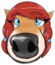  absurd_res anthro black_nose blue_eyes braided_hair brown_body brown_fur canid canine canis close-up countershade_face countershading digital_media_(artwork) eyelashes female fisheye_lens fur hair hi_res looking_at_viewer mammal nose_focus red_hair red_wolf seiiartworks solo wolf wolf_nanaki 