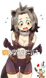  2girls absurdres american_beaver_(kemono_friends) animal_ears aono3 ass_visible_through_thighs beaver_ears beaver_tail bike_shorts black_hair blonde_hair blush bra breasts brown_bra brown_eyes brown_gloves brown_jacket character_name clothes_theft commentary_request elbow_gloves embarrassed extra_ears fleeing flying_sweatdrops fur_collar gloves hair_ornament hairclip highres jacket kemono_friends light_brown_hair looking_down medium_breasts multiple_girls navel nervous open_clothes open_jacket open_mouth outline serval_(kemono_friends) serval_print short_hair sidelocks skirt sleeveless sleeveless_jacket solo_focus tail theft thigh_gap thighs translated underwear white_gloves yellow_skirt 